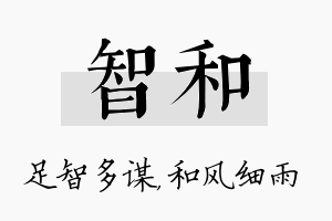 智和名字的寓意及含义