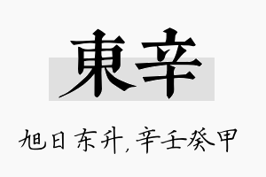 东辛名字的寓意及含义