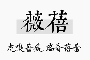 薇蓓名字的寓意及含义