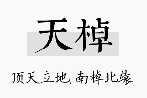 天棹名字的寓意及含义