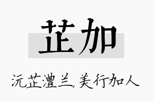 芷加名字的寓意及含义