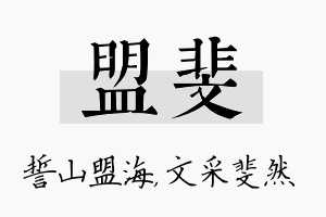 盟斐名字的寓意及含义