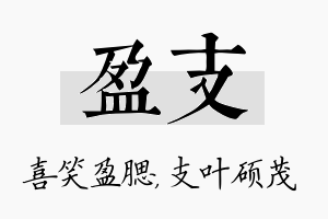 盈支名字的寓意及含义