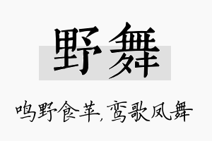 野舞名字的寓意及含义