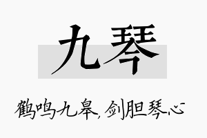 九琴名字的寓意及含义