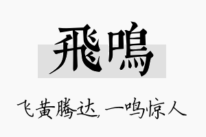 飞鸣名字的寓意及含义