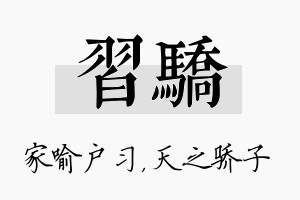 习骄名字的寓意及含义