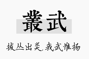 丛武名字的寓意及含义