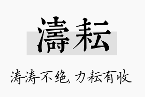 涛耘名字的寓意及含义