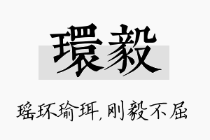 环毅名字的寓意及含义