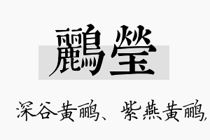 鹂莹名字的寓意及含义