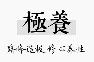 极养名字的寓意及含义