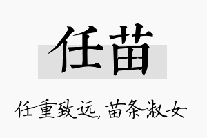 任苗名字的寓意及含义