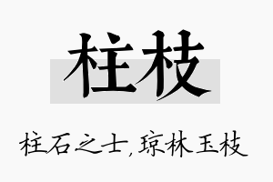 柱枝名字的寓意及含义