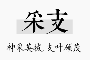 采支名字的寓意及含义