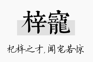 梓宠名字的寓意及含义