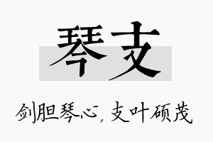 琴支名字的寓意及含义