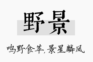 野景名字的寓意及含义