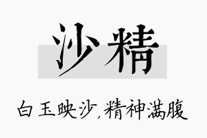 沙精名字的寓意及含义