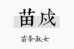 苗戍名字的寓意及含义