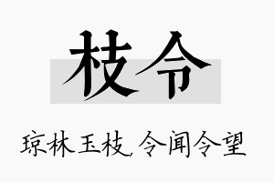 枝令名字的寓意及含义