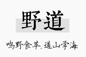 野道名字的寓意及含义