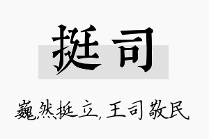 挺司名字的寓意及含义