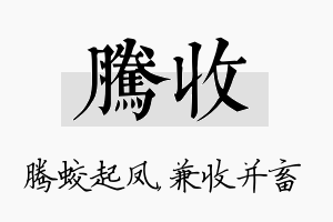 腾收名字的寓意及含义