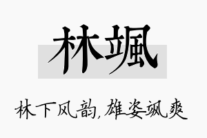 林飒名字的寓意及含义