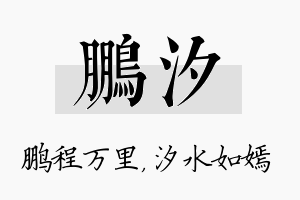 鹏汐名字的寓意及含义