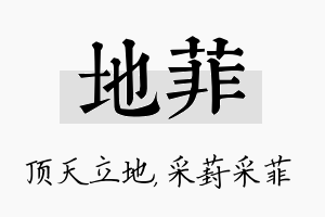 地菲名字的寓意及含义