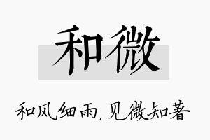 和微名字的寓意及含义