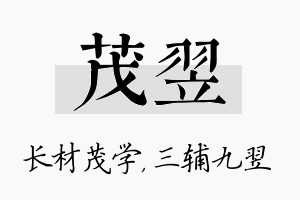 茂翌名字的寓意及含义