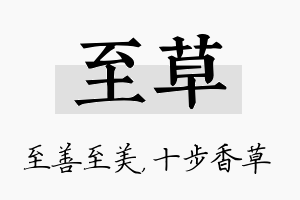 至草名字的寓意及含义