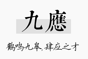 九应名字的寓意及含义