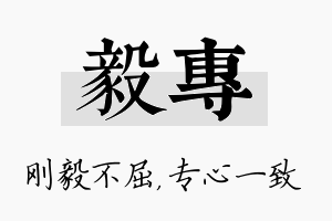 毅专名字的寓意及含义