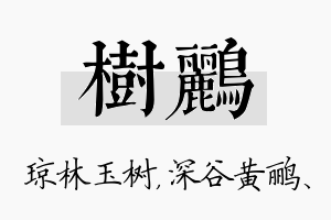 树鹂名字的寓意及含义