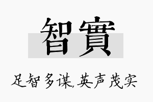 智实名字的寓意及含义