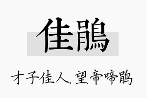 佳鹃名字的寓意及含义