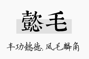 懿毛名字的寓意及含义