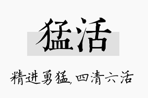 猛活名字的寓意及含义