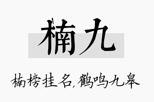 楠九名字的寓意及含义