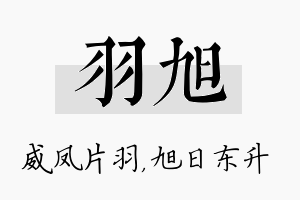 羽旭名字的寓意及含义