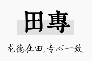 田专名字的寓意及含义