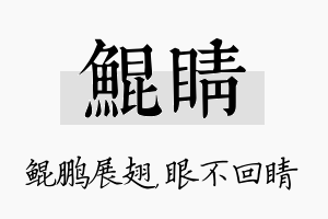 鲲睛名字的寓意及含义