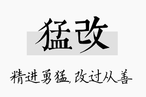 猛改名字的寓意及含义