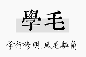 学毛名字的寓意及含义