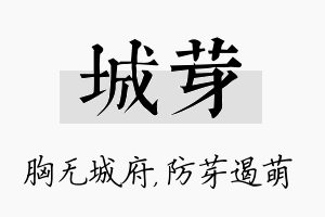 城芽名字的寓意及含义