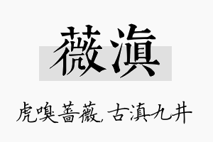 薇滇名字的寓意及含义