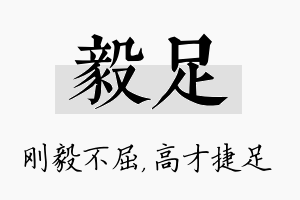 毅足名字的寓意及含义